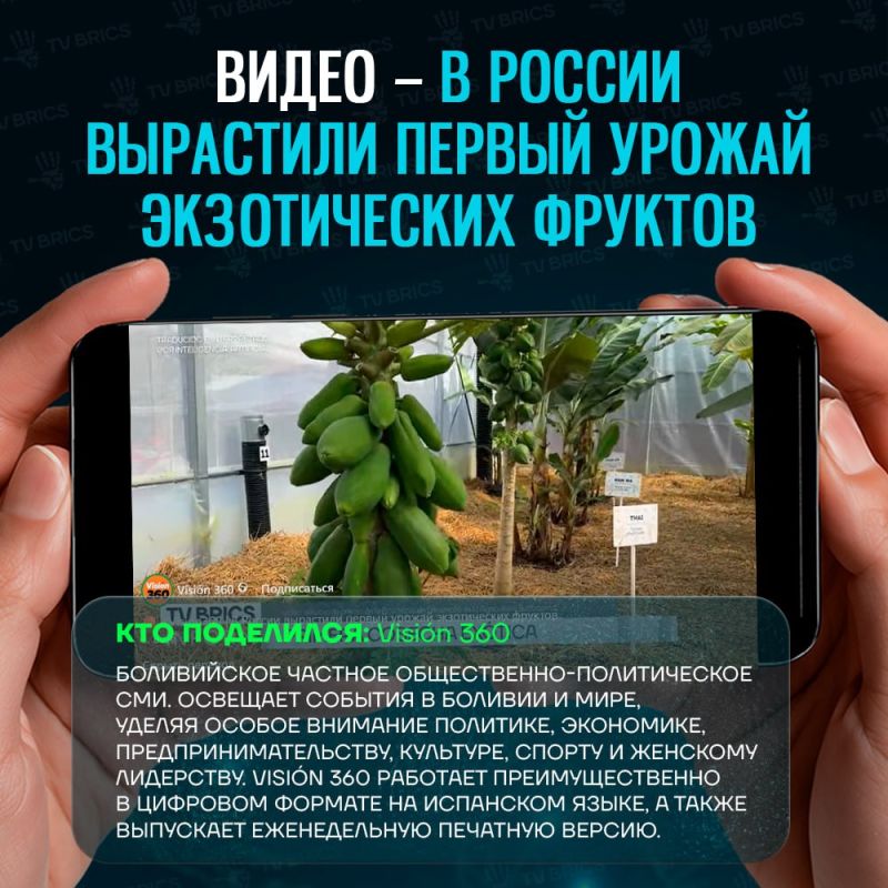 ОБЗОР МАТЕРИАЛОВ TV BRICS В ЗАРУБЕЖНЫХ МЕДИА ОБЗОР МАТЕРИАЛОВ TV BRICS В ЗАРУБЕЖНЫХ МЕДИА