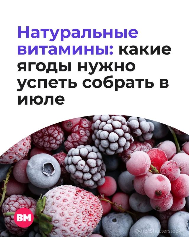 Согласитесь, яркие воспоминания: та самая малина с бабушкиного огорода, немного кислая смородина в эмалированной миске и чай с клубничным вареньем, который не хочется переставать пить