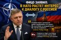 Фицо заявил, что в НАТО растет интерес к диалогу с Россией