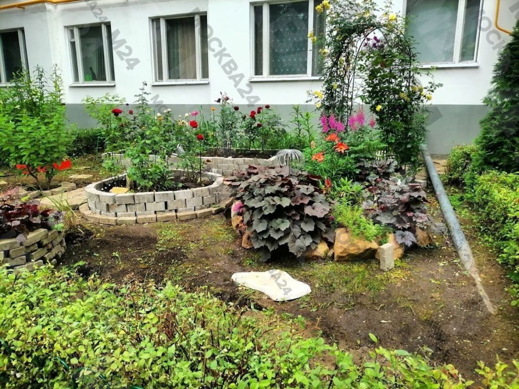 В Чертанове жители превратили двор в цветущий сад В Чертанове жители превратили двор в цветущий сад