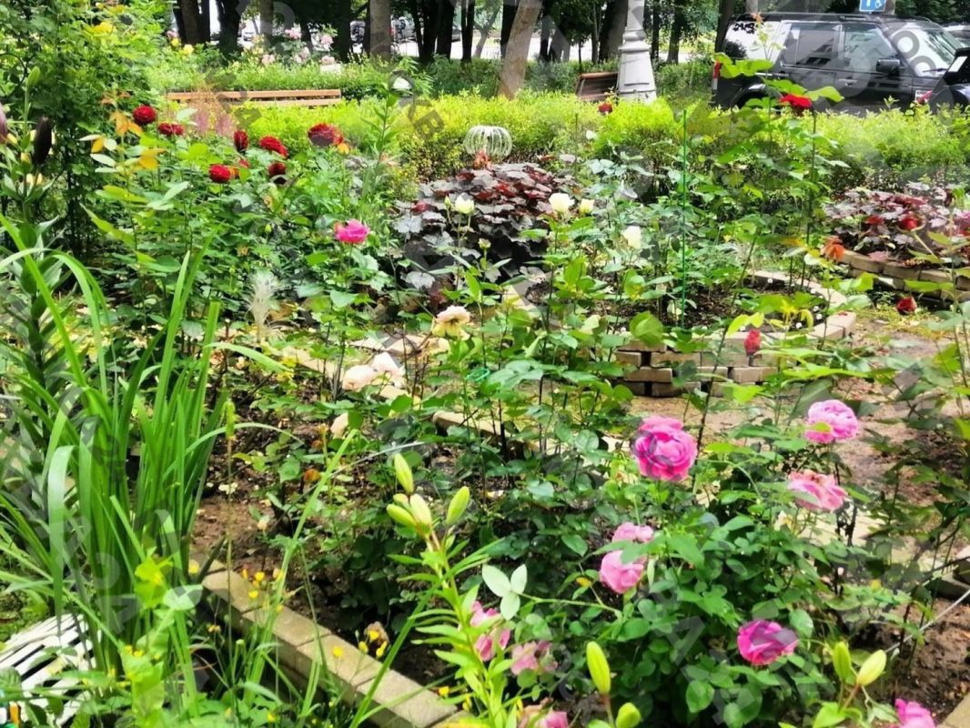 В Чертанове жители превратили двор в цветущий сад В Чертанове жители превратили двор в цветущий сад