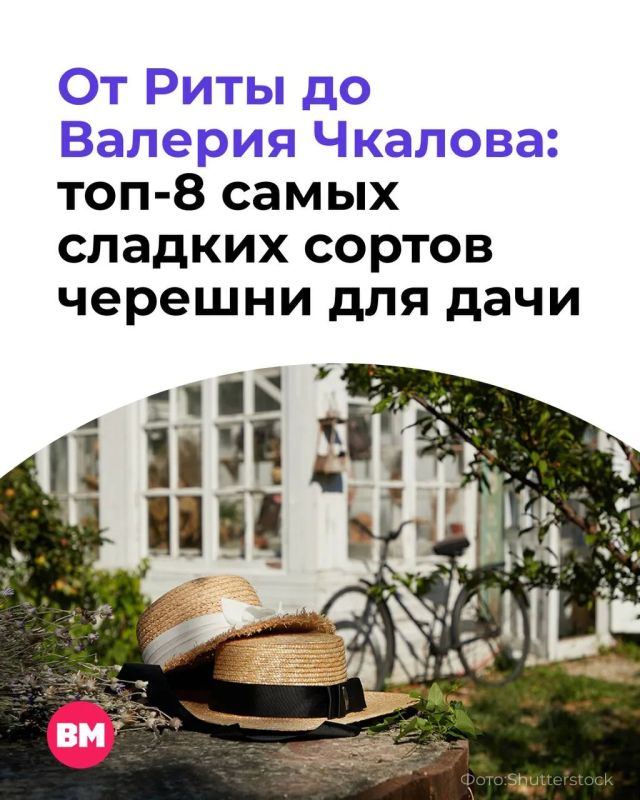 Мало того, что черешня — ягода, которую хочется есть без остановки, так она еще и полезная!