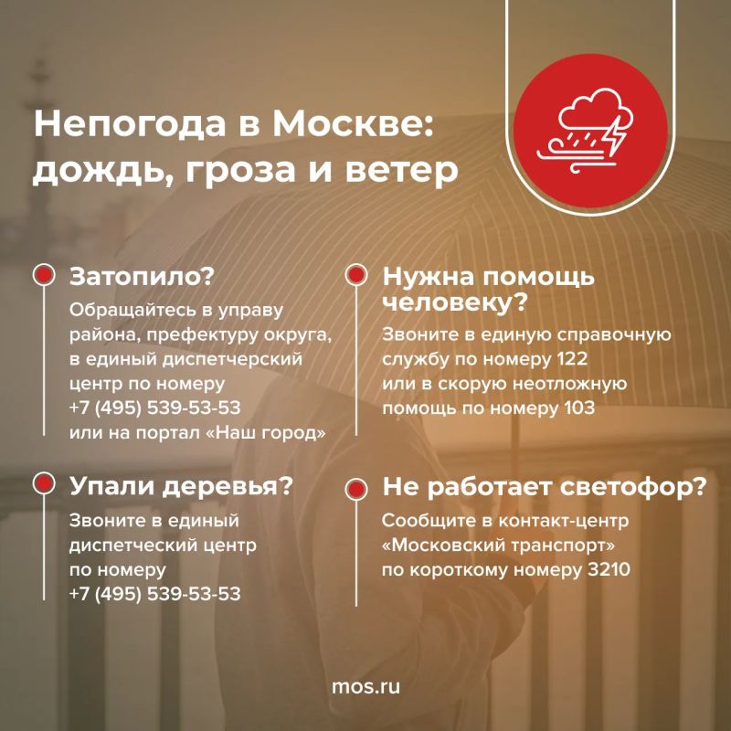 В Москву снова пришла непогода