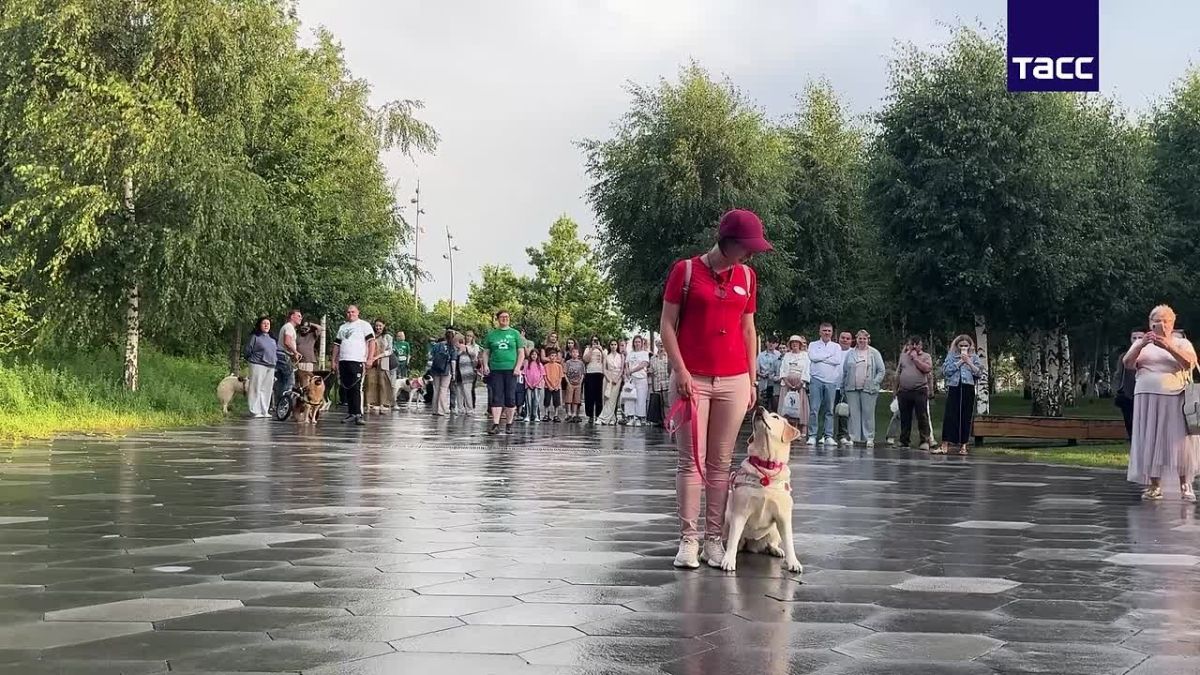 В "Зарядье" открылся первый международный кинофестиваль "Белый Бим", посвященный защите животных