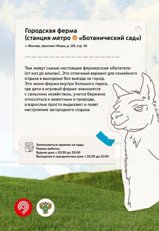 День поля в Москве? Легко! День поля в Москве? Легко!