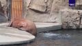 � �������� ����������� � ������ ������� ������������ � +30�C