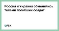 Москва и Киев провели обмен телами погибших военнослужащих, России было передано 31 тело, Украине — 501 тело