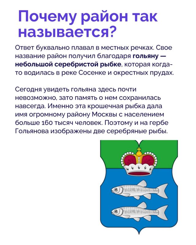 Гольяново — шестой по численности населения и 15-й по площади район столицы Гольяново — шестой по численности населения и 15-й по площади район столицы
