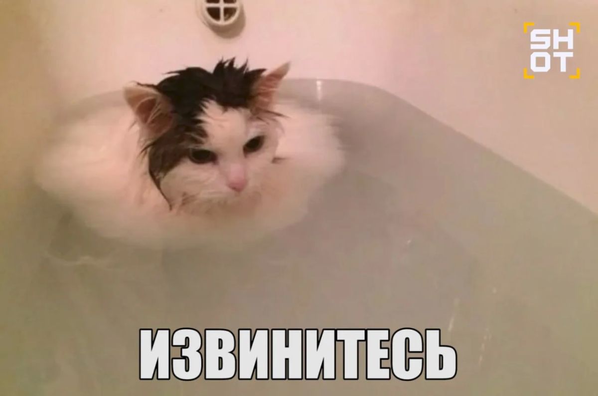Экстренную операцию по спасению женщины из ванной развернули в Москве