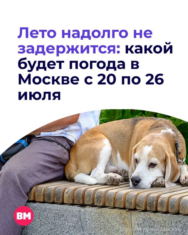 Я так хочу, чтобы лето не кончалось…