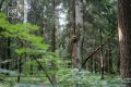 Лето — время ярких красок, долгих прогулок и живописных пейзажей