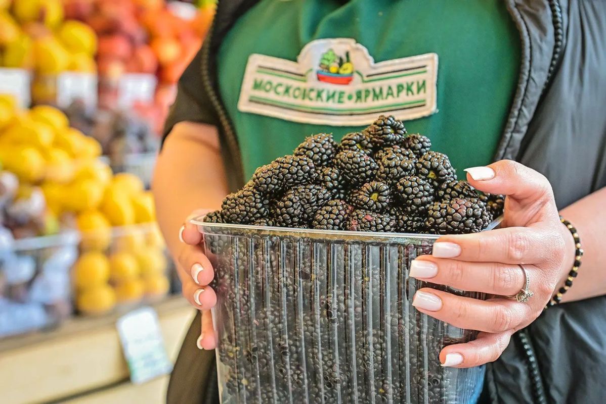 На московских ярмарках — пик сезона малины и ежевики, которые привозят фермеры из разных регионов России
