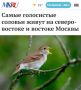 «Самые голосистые соловьи живут на северо-востоке и востоке Москвы»: Столичные соловьи выбрали два округа, в котором они поют громче всего