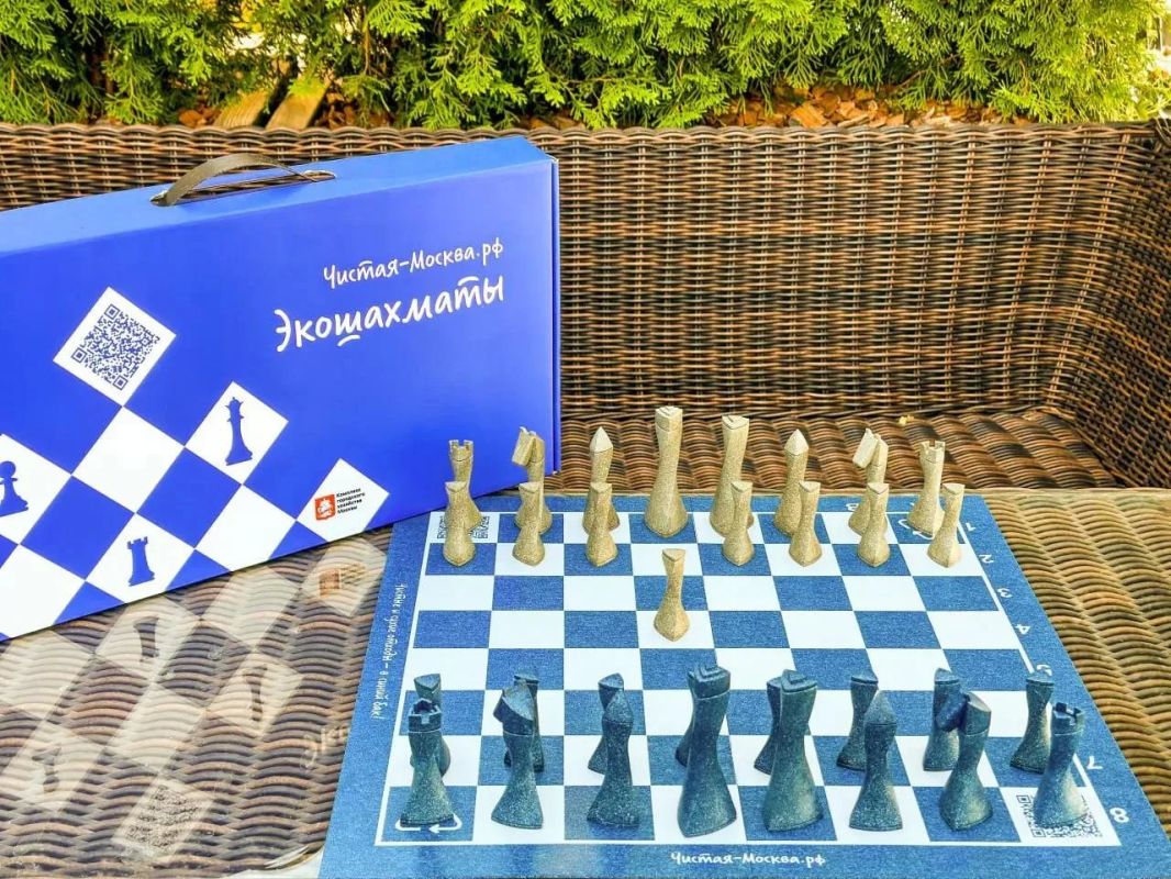 Вы когда-нибудь играли в экошахматы?