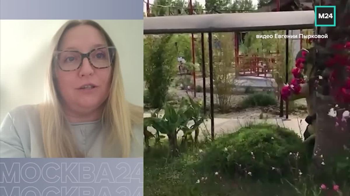 Отравления в дорогих турецких отелях — неприятных тренд этого лета