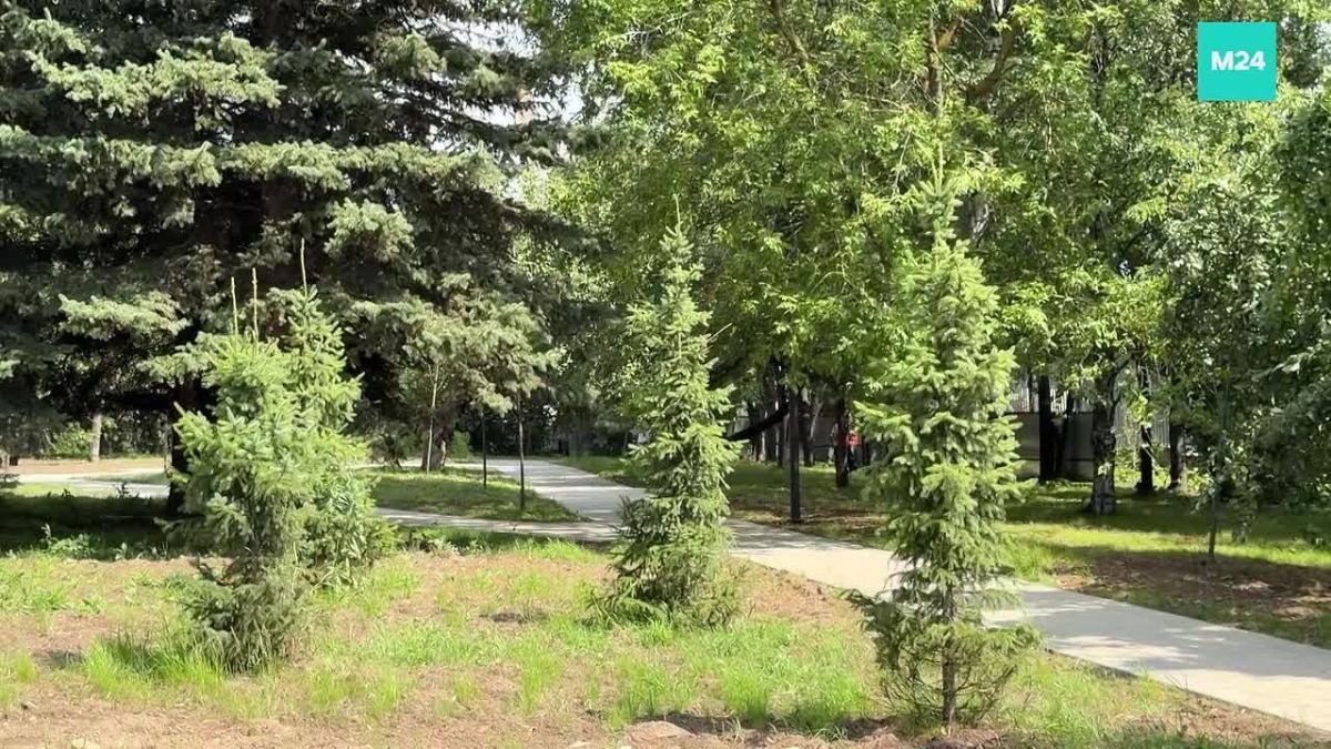 Главный корпус больницы имени Буянова на юге Москвы ждет масштабное обновление