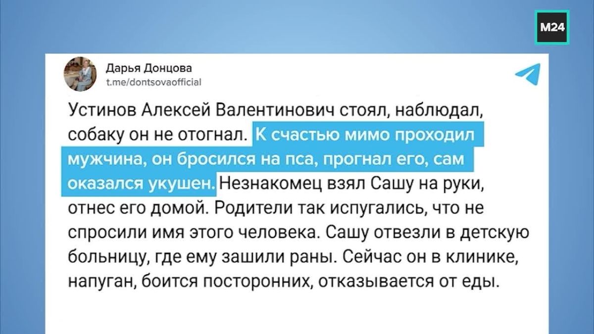 «На затылке была большая дыра»: ребёнок, пострадавший от нападения собак в Подмосковье, получил серьёзные травмы головы и плеча