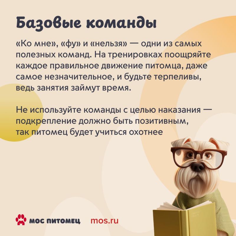 С появлением питомца привычки меняются у всех: и у хозяина, и у любимца, который привыкает к «родителям» С появлением питомца привычки меняются у всех: и у хозяина, и у любимца, который привыкает к «родителям»