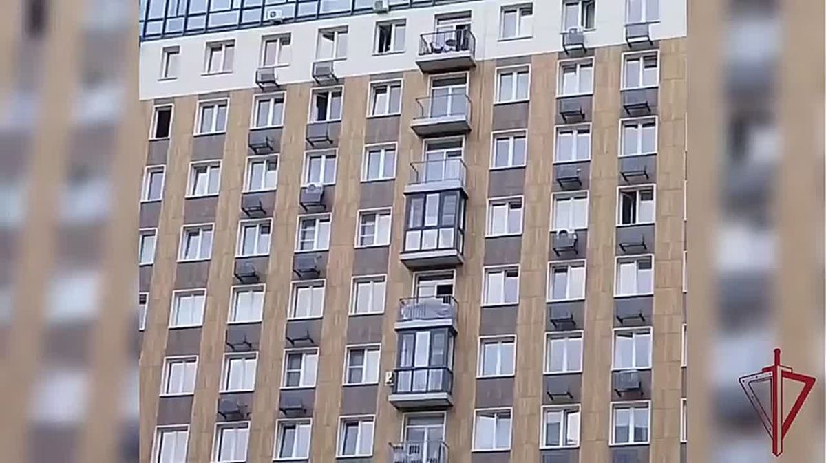Нетрезвый москвич открыл стрельбу из окна — его задержали росгвардейцы