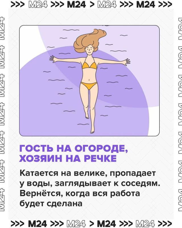 Говорят, дача — это про покой, свежий воздух и отдых на природе Говорят, дача — это про покой, свежий воздух и отдых на природе