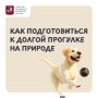 Летние дни располагают к неспешным прогулкам на природе
