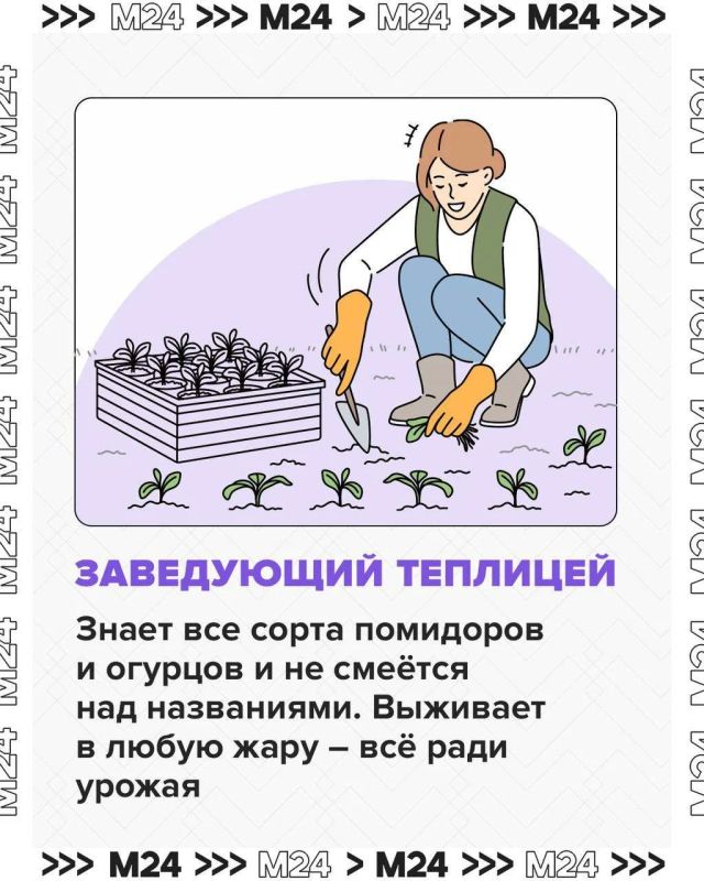 Говорят, дача — это про покой, свежий воздух и отдых на природе Говорят, дача — это про покой, свежий воздух и отдых на природе