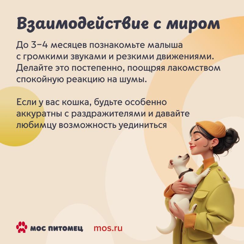 С появлением питомца привычки меняются у всех: и у хозяина, и у любимца, который привыкает к «родителям» С появлением питомца привычки меняются у всех: и у хозяина, и у любимца, который привыкает к «родителям»