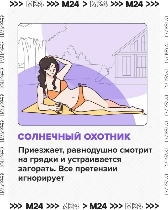 Говорят, дача — это про покой, свежий воздух и отдых на природе Говорят, дача — это про покой, свежий воздух и отдых на природе