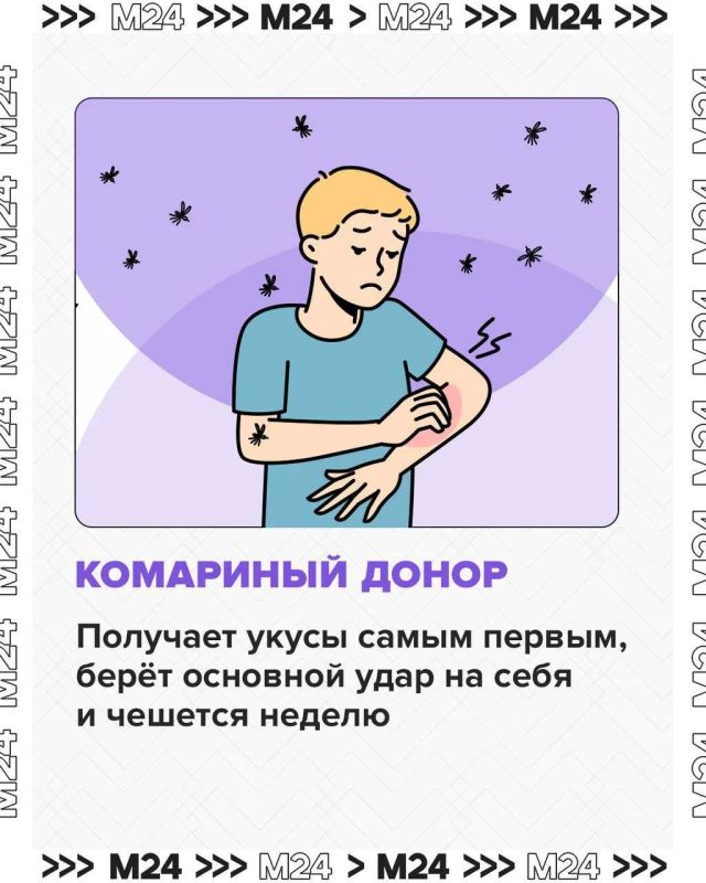 Говорят, дача — это про покой, свежий воздух и отдых на природе Говорят, дача — это про покой, свежий воздух и отдых на природе