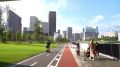 Новое место для отдыха у Москвы-реки