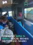 Дельфин приплыл к берегу за помощью, но умер от внимания людей ради контента