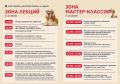 ����� 40 �������� �� ��������� ������� ������ ������� � ��������� ������������ �� #����