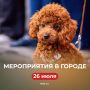 �������� ����������� ��������� � �������������