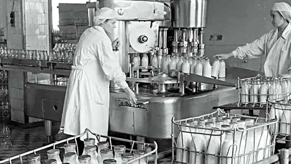 Потерянные ценности: продукты из СССР, которые сегодня вызывают недоверие