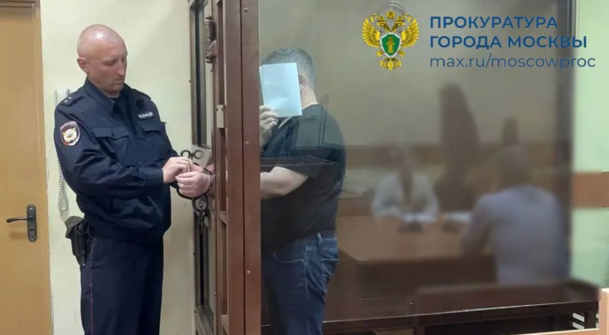 С учетом позиции Останкинской межрайонной прокуратуры заключен под стражу мужчина, обвиняемый в мошенничестве под предлогом лечения ребенка