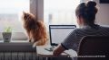 Запрос на удаленку при поиске работы с возрастом падает