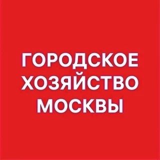 В городе идёт мощный ливень, фиксируются сильные порывы ветра