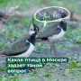 � ������� ���������� ������� ������ � ��������