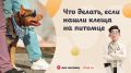 ������ ����� ���� �������� � �����, �� �� ����� ������, ��� ����������� ����� ������