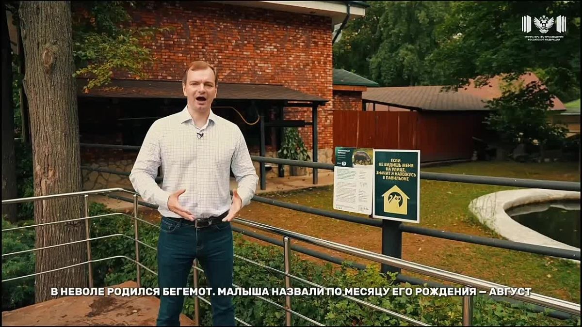 Остров жизни и надежды. Когда летом на Москву упали первые бомбы, казалось, что мирной жизни пришёл конец
