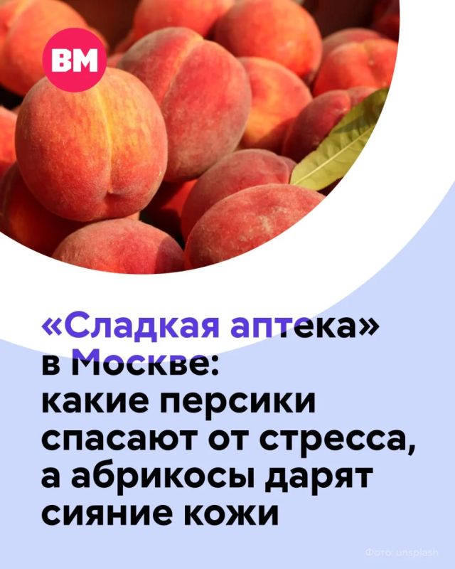 На московских ярмарках — самый вкусный момент лета