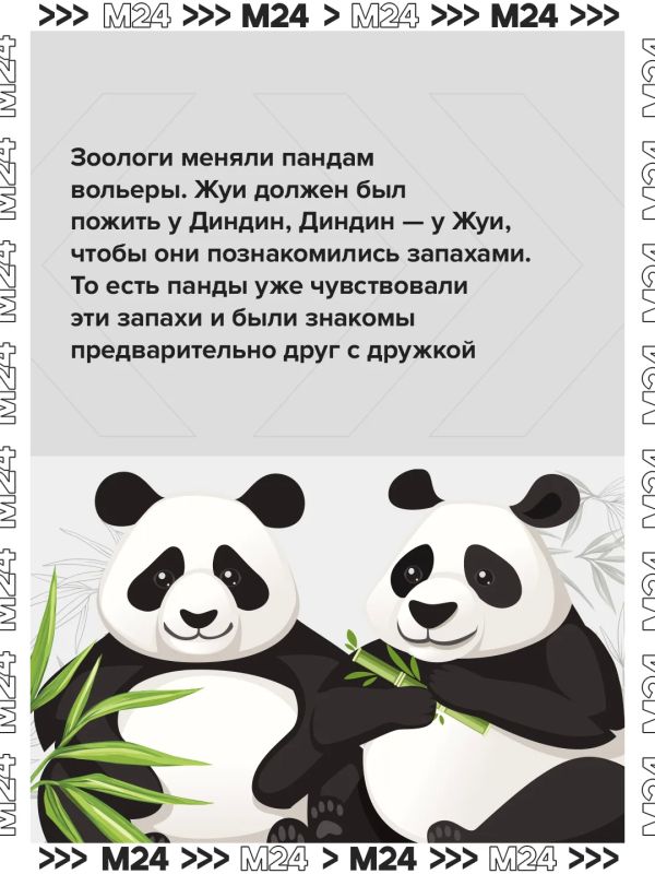 Двойной день рождения — двойной повод вспомнить главную медвежью лавстори Москвы Двойной день рождения — двойной повод вспомнить главную медвежью лавстори Москвы