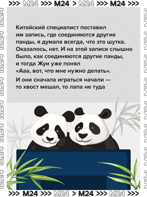 Двойной день рождения — двойной повод вспомнить главную медвежью лавстори Москвы Двойной день рождения — двойной повод вспомнить главную медвежью лавстори Москвы