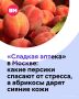 На московских ярмарках — самый вкусный момент лета