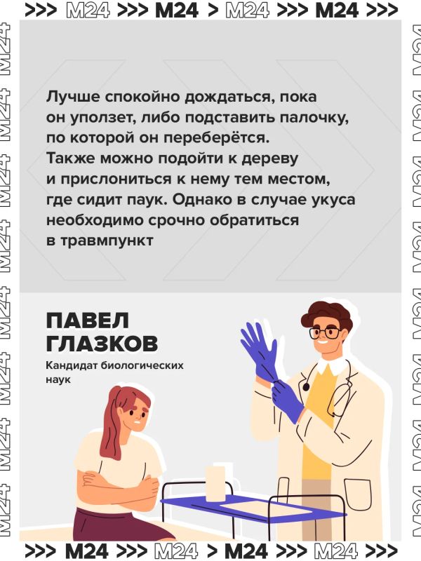 Паукикаракурты потихоньку сдвигают границы и продвигаются с юга на север Паукикаракурты потихоньку сдвигают границы и продвигаются с юга на север