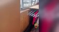 � ����������� ������������ �����������