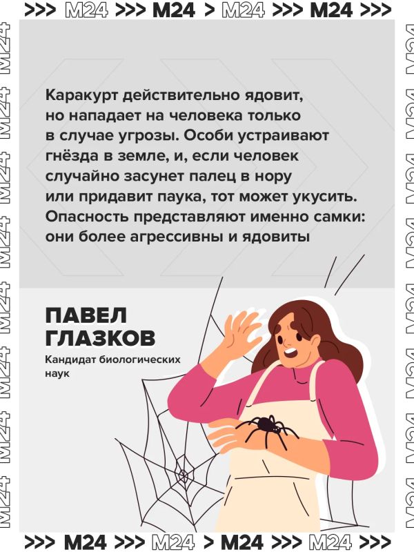 Паукикаракурты потихоньку сдвигают границы и продвигаются с юга на север Паукикаракурты потихоньку сдвигают границы и продвигаются с юга на север