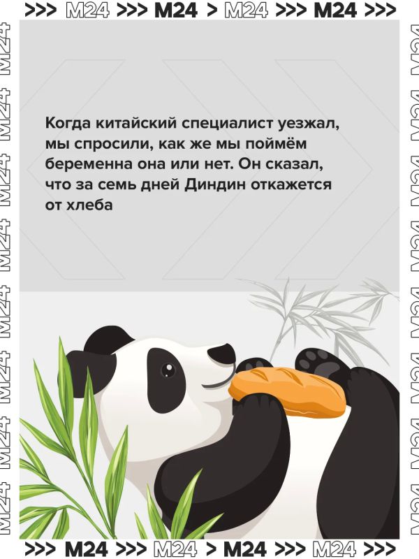 Двойной день рождения — двойной повод вспомнить главную медвежью лавстори Москвы Двойной день рождения — двойной повод вспомнить главную медвежью лавстори Москвы