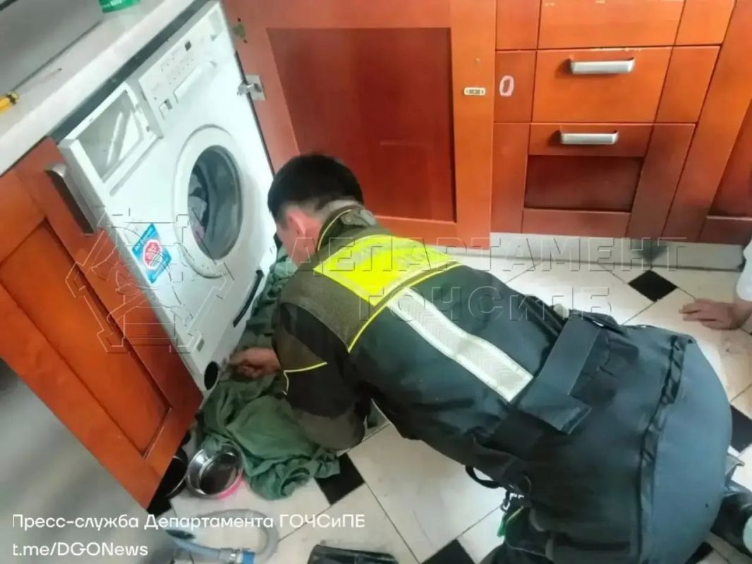 Спасателей вызвали на вскрытие стиральной машинки, где едва начисто не отстирали котенка Спасателей вызвали на вскрытие стиральной машинки, где едва начисто не отстирали котенка