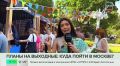 Сад «Эрмитаж» на три дня превратится в тропики